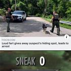 Work On The Sneak
