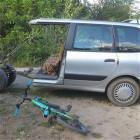 Would Ride Into Battle
