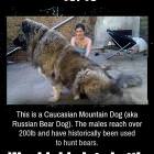 Would Ride Into Battle