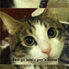 Would Someone Do That