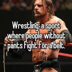 Wrestling Is Interesting