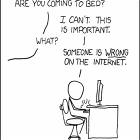 Wrong Internet