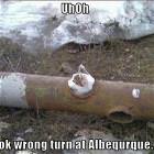 Wrong Turn Uh Oh