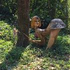 Wtf Picdump 21