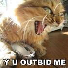 Y U Outbid Me