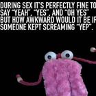 Yep Yep Yep