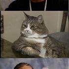 Yo Dawg