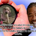 Yo Yo Dawg