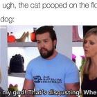 You Animal 109