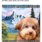 You Animal 111