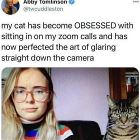 You Animal 154