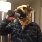 You Animal