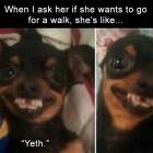 You Animal (gifdump)