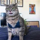 You Animal GIFDUMP 30