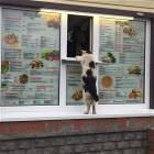 You Animal   GIFDUMP   50