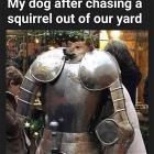 You Animal   GIFDUMP   52