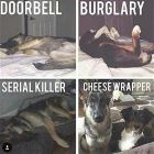 You Animal   GIFDUMP   73