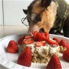 You Animal    GIFDUMP   37