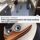 You Animal    GIFDUMP   40