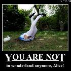 You Are Not
