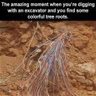 You Fail   GIFDUMP   62