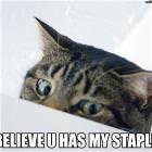 You Have My Stapler