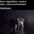 You Have Potatoes