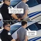 You Have The Right