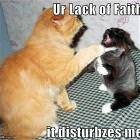 You Lack Faith
