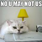 You May Not Use Cat