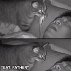 You Need To Eat