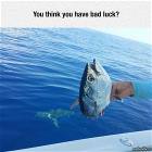 You Think You Have Bad Luck