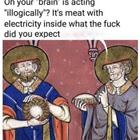Your Brain
