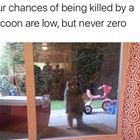 Your Chances
