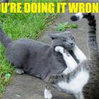 Your Doing It Wrong