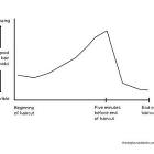 Your Haircut Graph