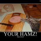 Your Hamz