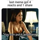 Your Last Meme