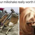 Your Milkshake