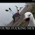 Your Next