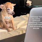 Your Online Girlfriend