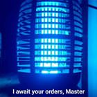 Your Orders