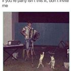 Your Party