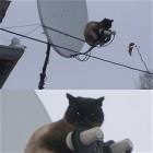 Your Signal