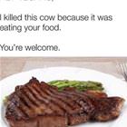Your Welcome