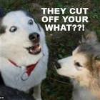 Your What