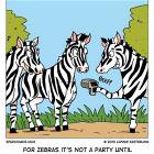 Zebra Party