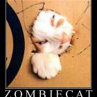 Zombie Cat